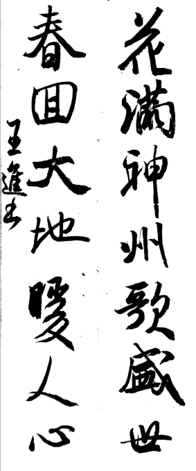 王进书法作品